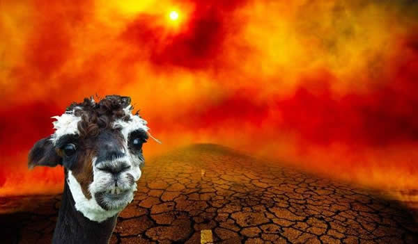 Divertido Meme: Alpacalipsis 2012 + Video Parodia del Fin del Mundo