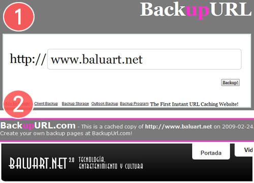 BackupUrl, crea una copia de cualquier sitio web