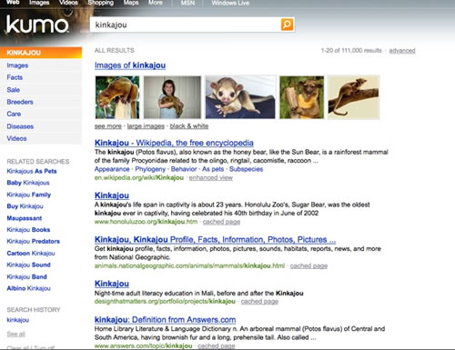 Bing Resultados de Mascota