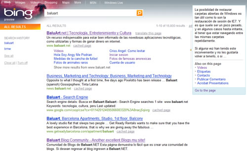 Baluart.NET en Bing