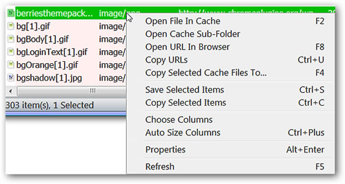 IECacheView Clic Derecho