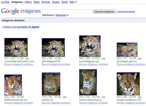Google lanza buscador de imágenes similares