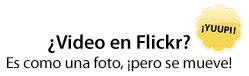 video-flickr