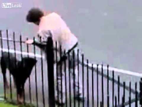 Hilarante! Borracho saca a pasear al perro