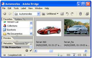 Adobe Bridge
