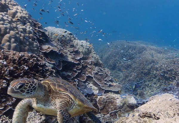 6 Impresionantes lugares que explorar con Google Street View