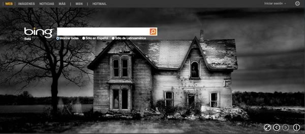 Bing Halloween: También celebra el Día de Brujas Bing Halloween: También celebra el Día de Brujas