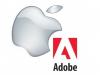Adobe admitió su derrota frente a Apple: Flash ya no va más para móviles