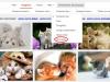 Google añade Gif Animados a la búsqueda de imágenes