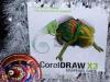 La nueva suite gráfica de Corel Draw X3