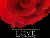 Película: El amor en los tiempos del cólera
