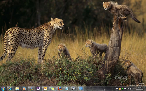 Descargar Wallpapers de Bing automáticamente