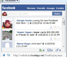Facebook Web Slice