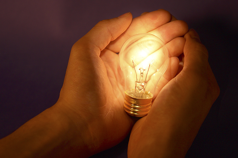 5 empresas que luchan por cambiar el mundo