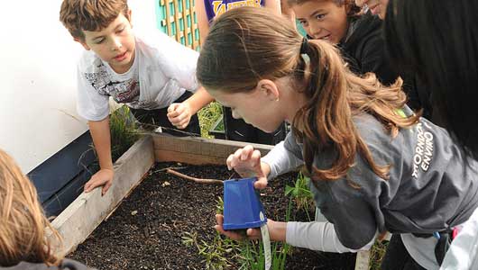 RecycleBank en las escuelas