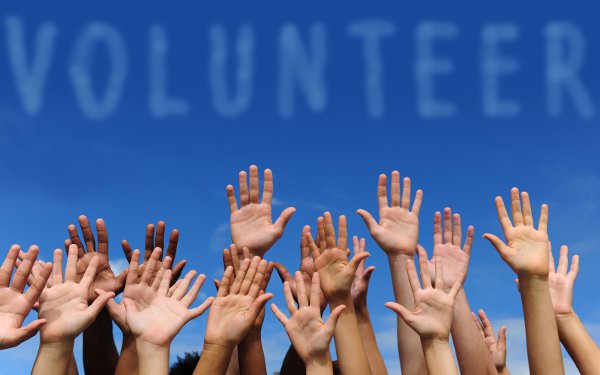 volunteer