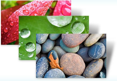 Descarga Nature Tema para Windows 7