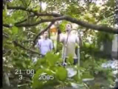 Accidente: Arbol en la cara