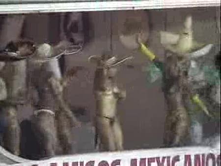 Topless en los Carnavales de Rio de Janeiro