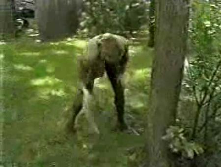 Insectro travieso y Reportera pudorosa