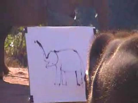 Elefante pintando a otro elefante